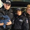 Counter-Terrorism Cops Rescue Terrified Kitten In Brooklyn